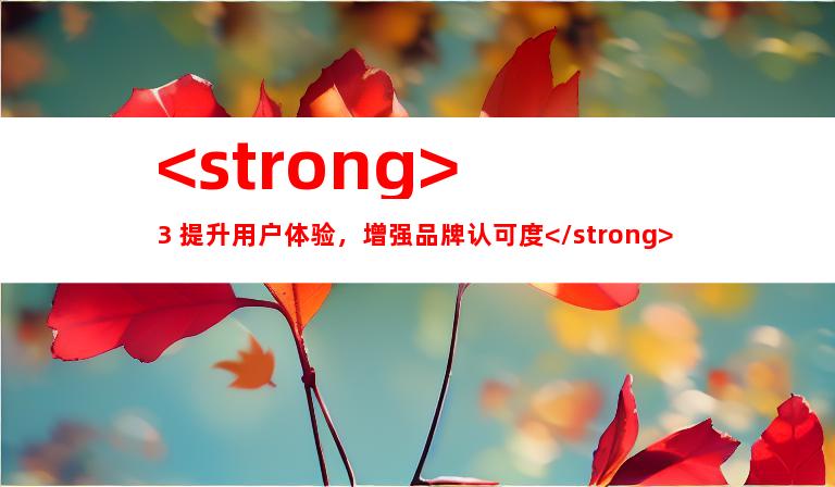 <strong>3. 提升用户体验，增强品牌认可度</strong>