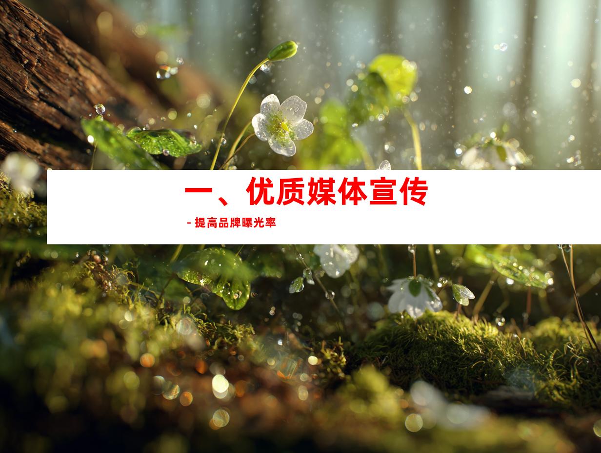 一、优质媒体宣传 - 提高品牌曝光率