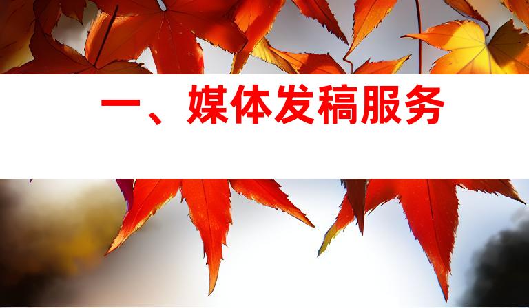 一、媒体发稿服务