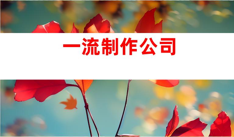 一流制作公司