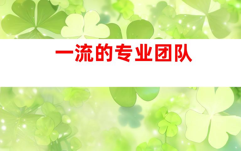一流的专业团队