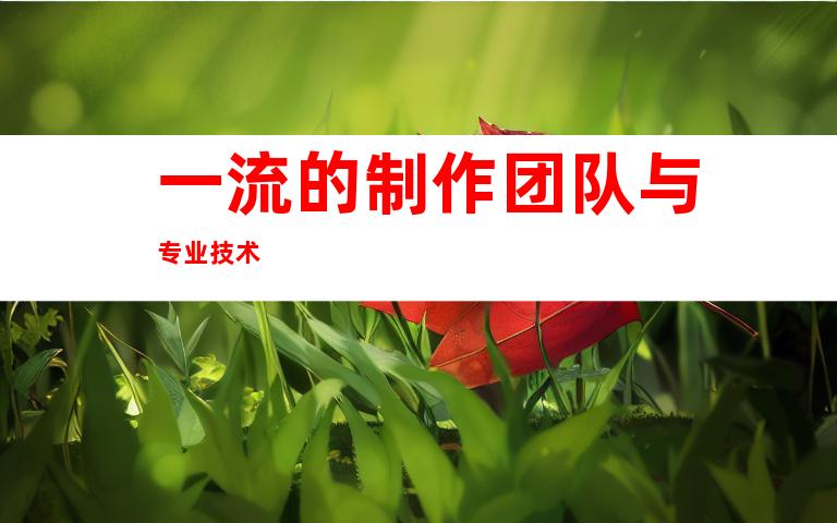 一流的制作团队与专业技术