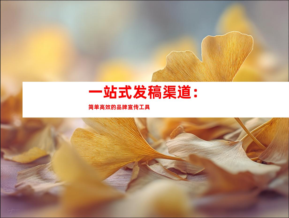 一站式发稿渠道：简单高效的品牌宣传工具