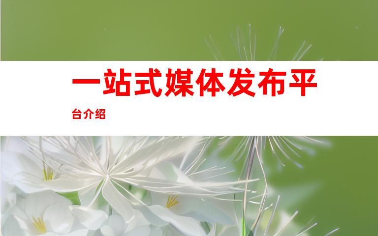 一站式媒体发布平台介绍