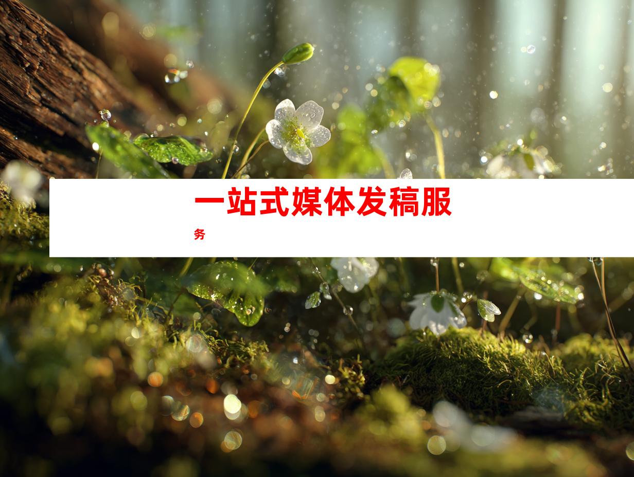 一站式媒体发稿服务