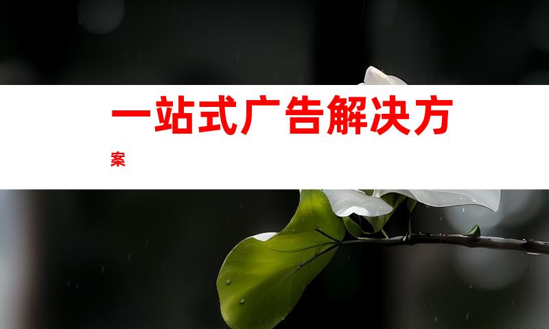一站式广告解决方案