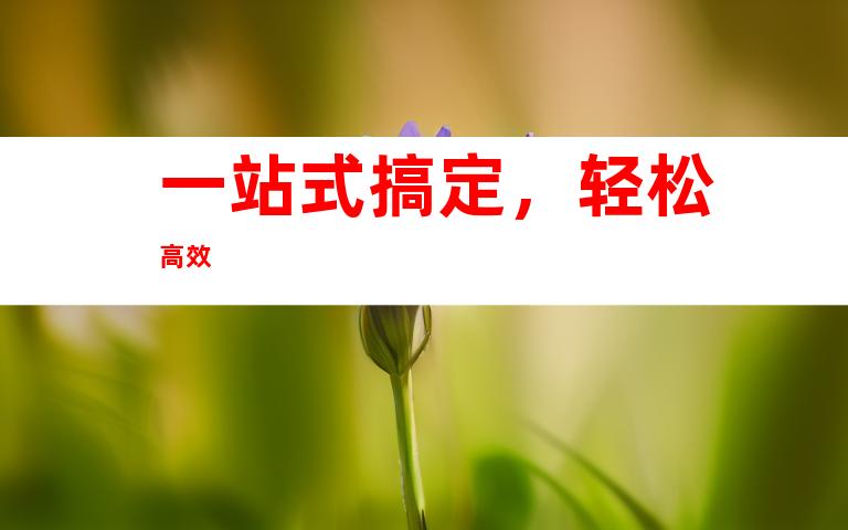 一站式搞定，轻松高效