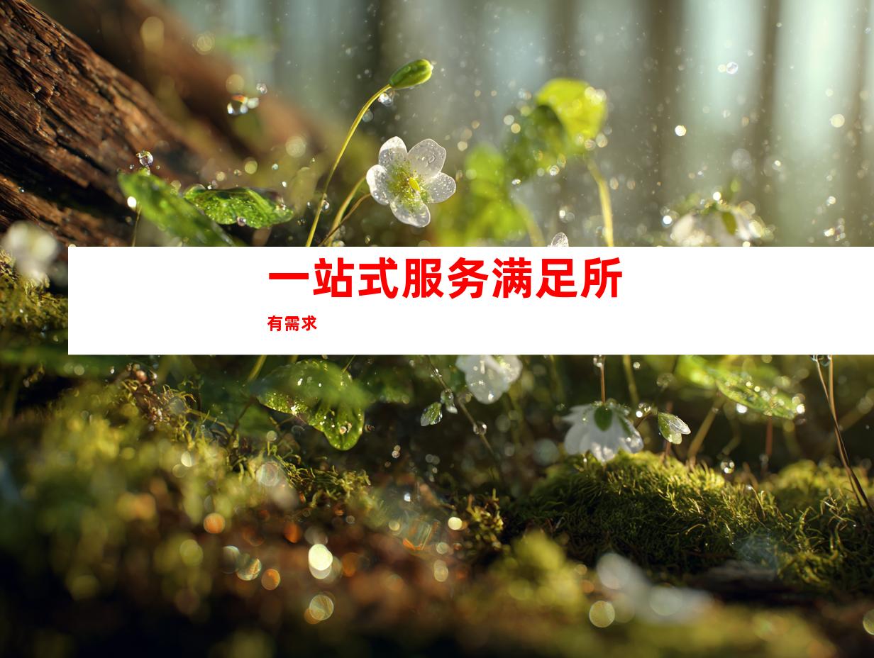 一站式服务满足所有需求