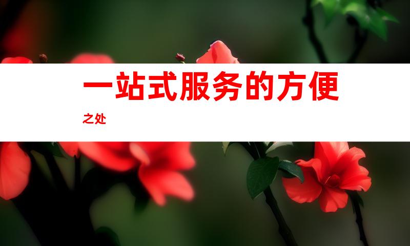 一站式服务的方便之处