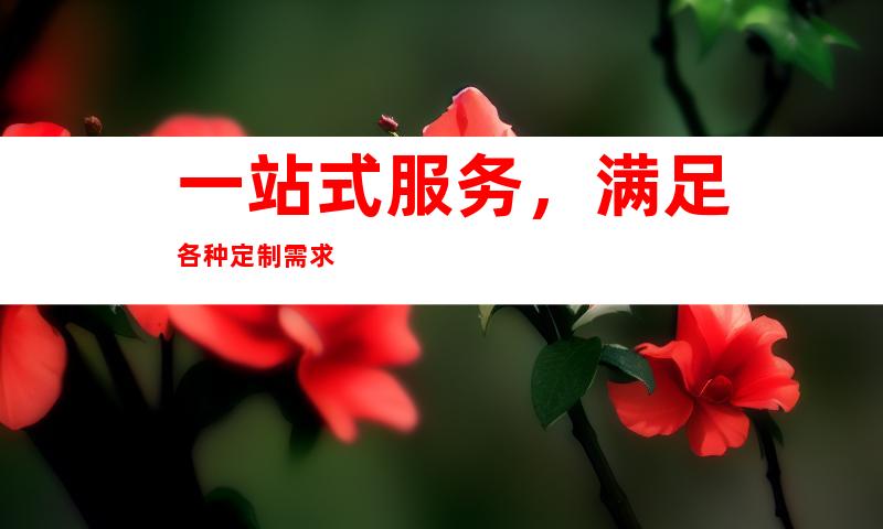 一站式服务，满足各种定制需求