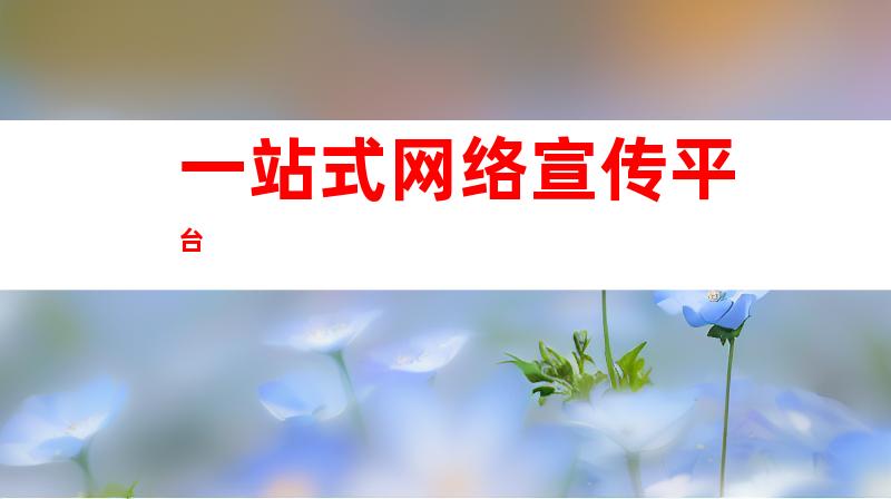 一站式网络宣传平台