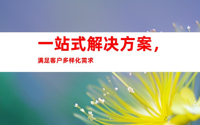 一站式解决方案，满足客户多样化需求