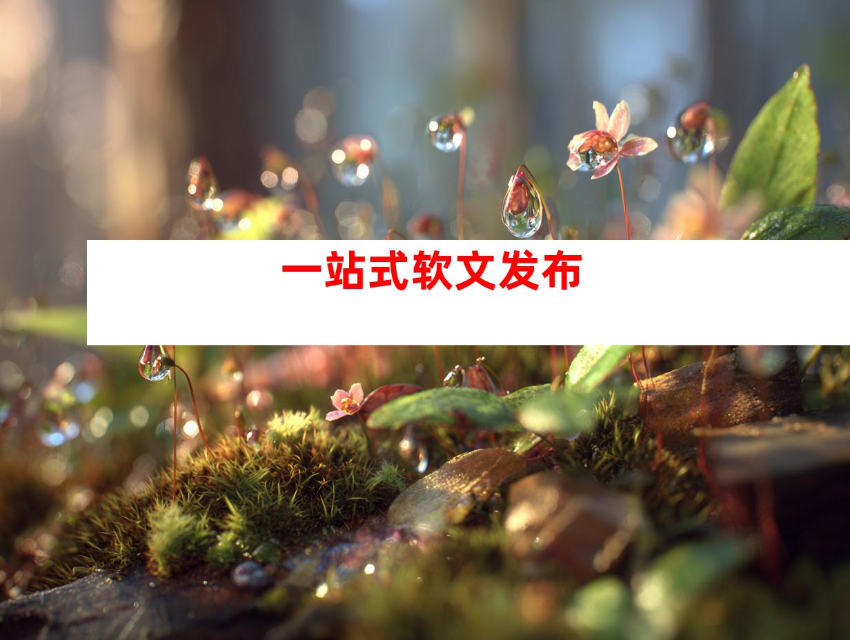 一站式软文发布