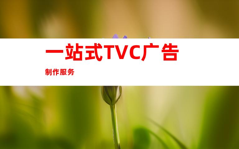 一站式TVC广告制作服务