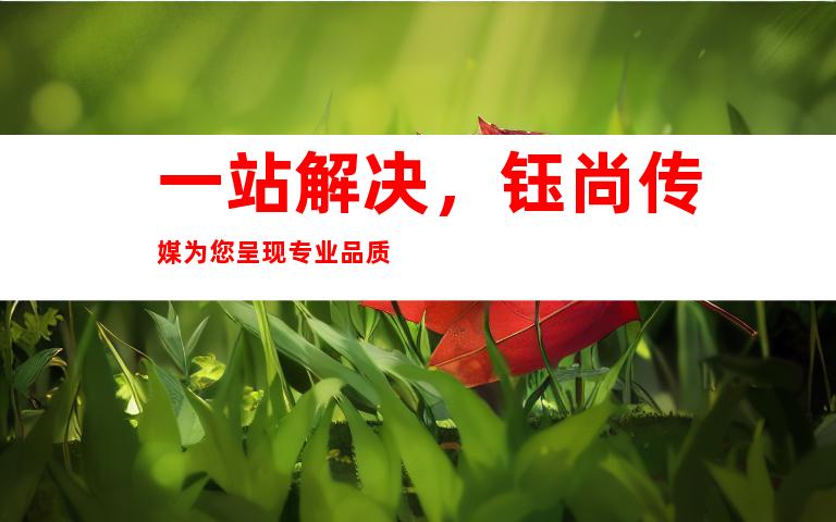 一站解决，钰尚传媒为您呈现专业品质