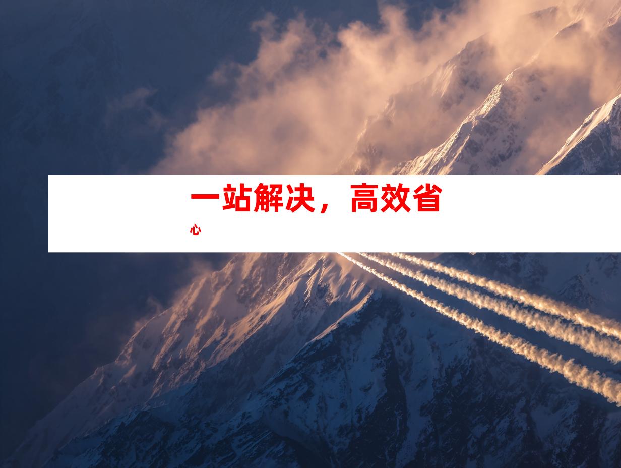 一站解决，高效省心