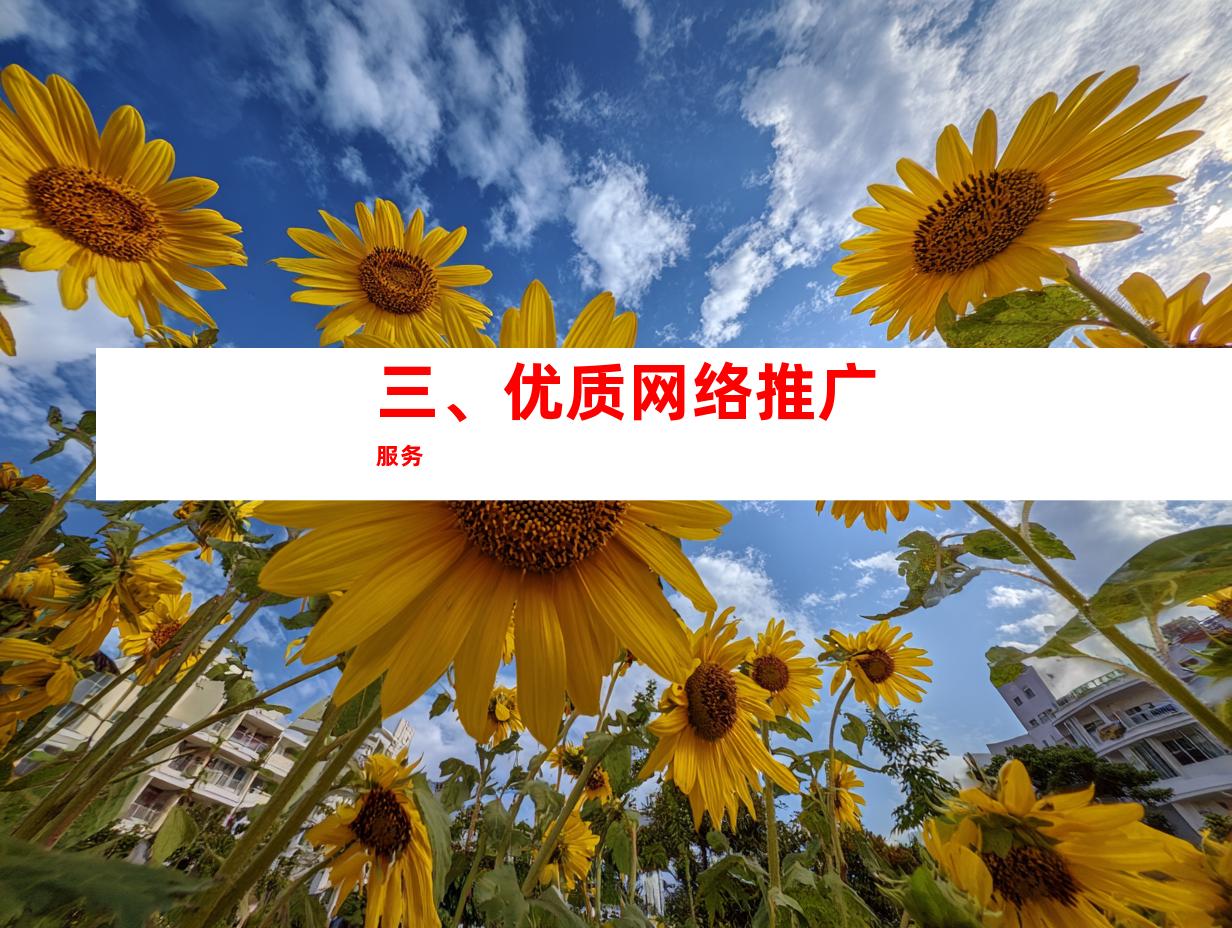 三、优质网络推广服务