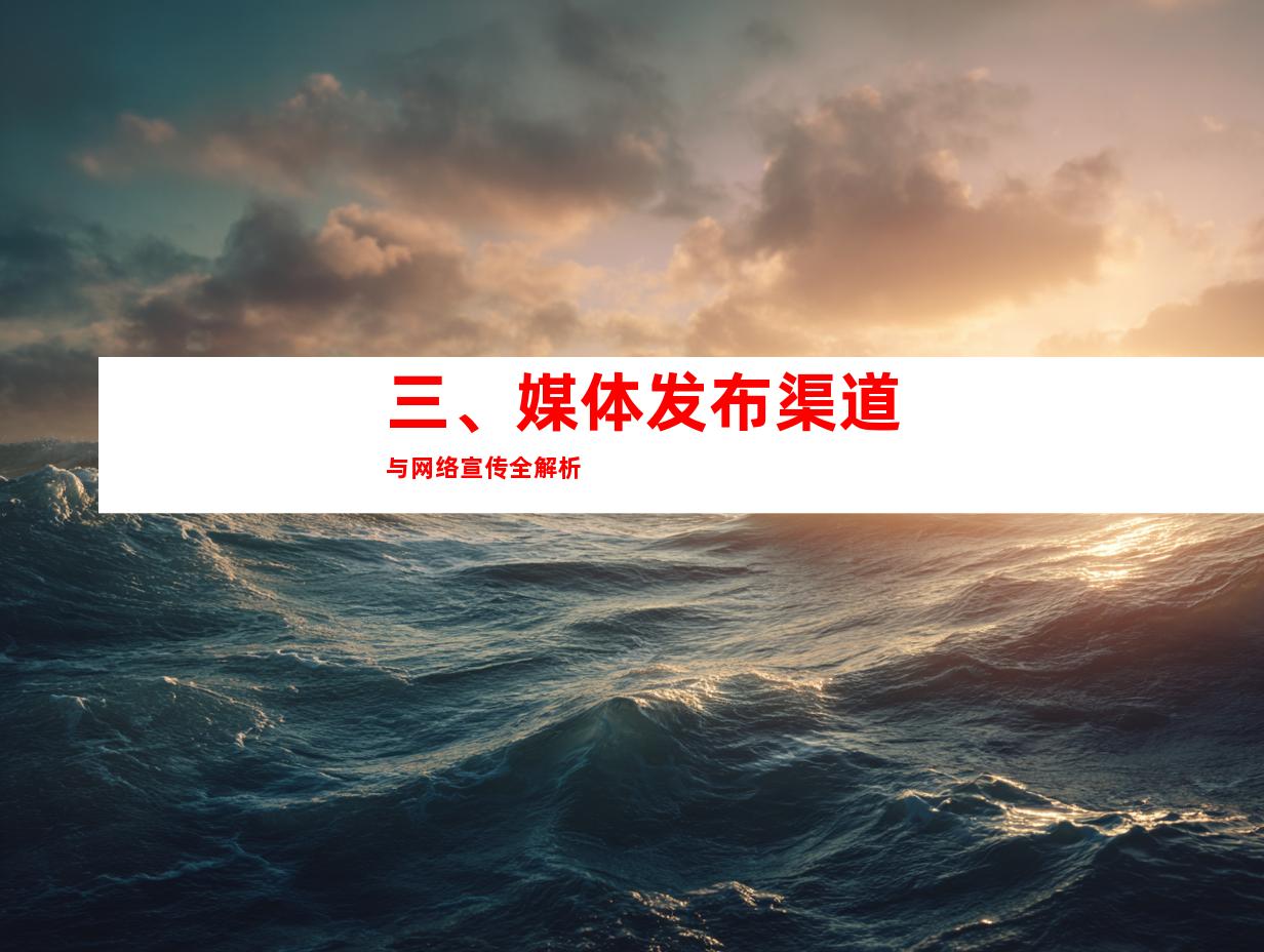 三、媒体发布渠道与网络宣传全解析