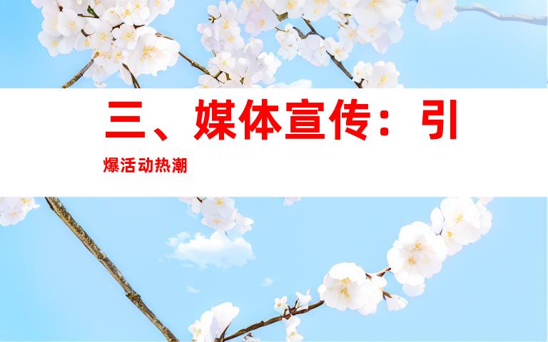 三、媒体宣传：引爆活动热潮