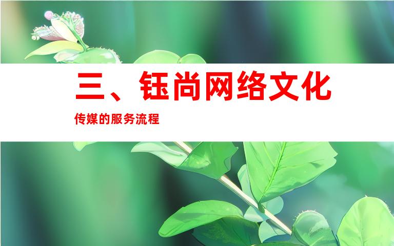 三、钰尚网络文化传媒的服务流程