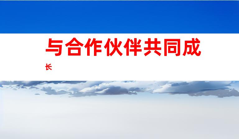 与合作伙伴共同成长