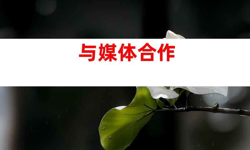与媒体合作