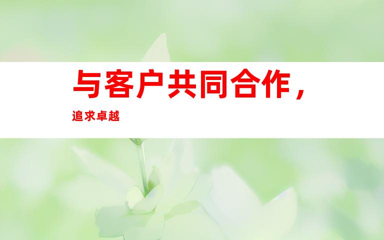 与客户共同合作，追求卓越