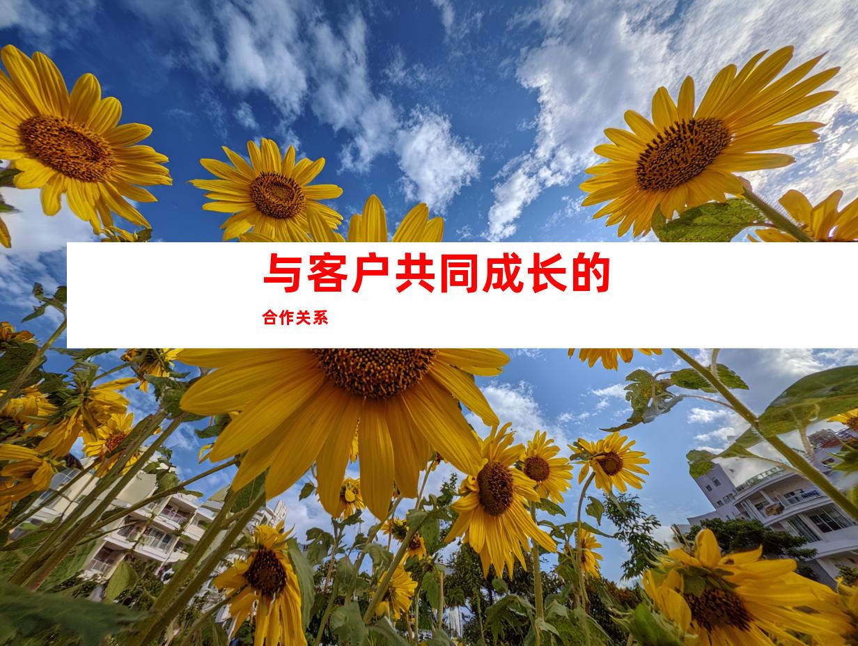 与客户共同成长的合作关系