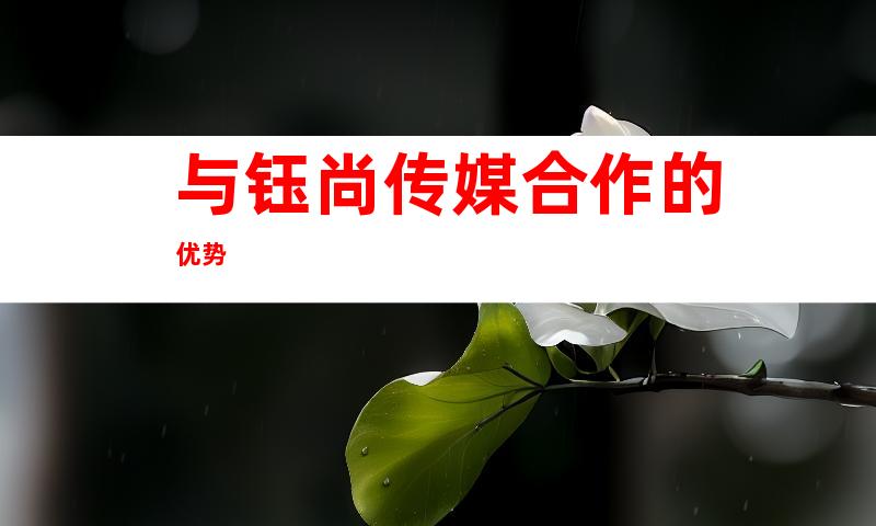 与钰尚传媒合作的优势