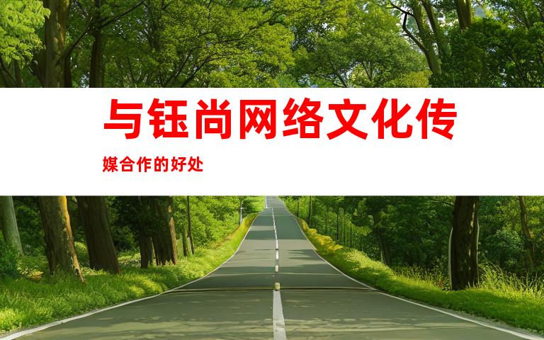 与钰尚网络文化传媒合作的好处