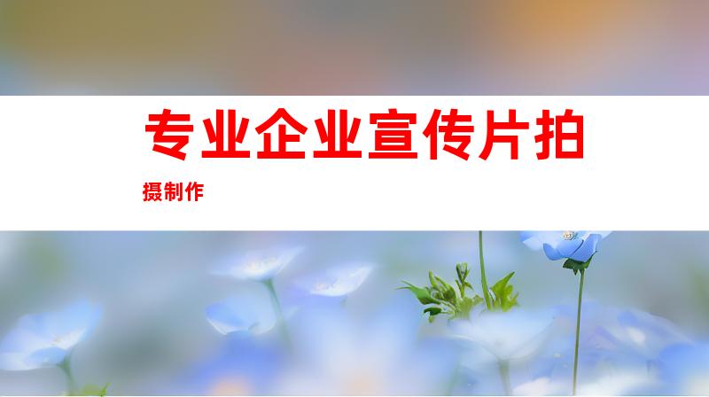 专业企业宣传片拍摄制作