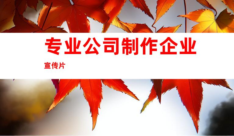 专业公司制作企业宣传片