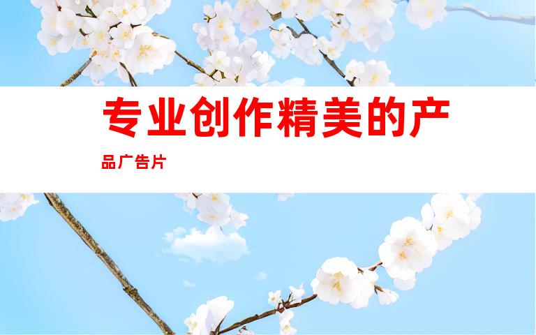 专业创作精美的产品广告片