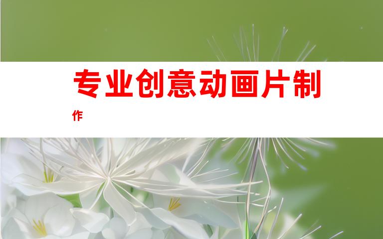 专业创意动画片制作