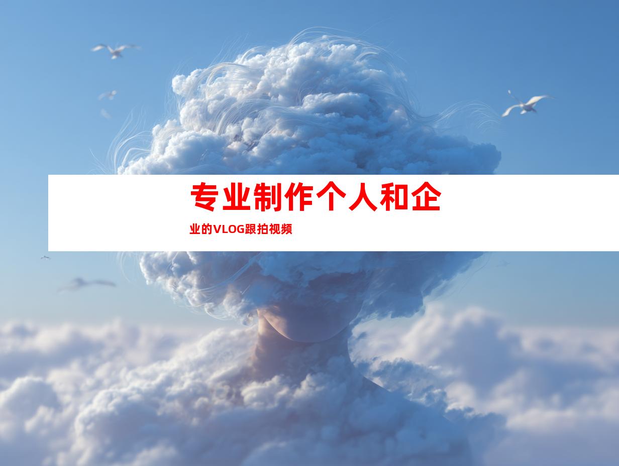 专业制作个人和企业的VLOG跟拍视频