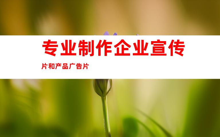 专业制作企业宣传片和产品广告片