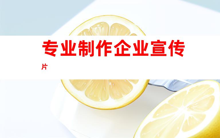 专业制作ä¼ä¸šå®£ä¼ 片
