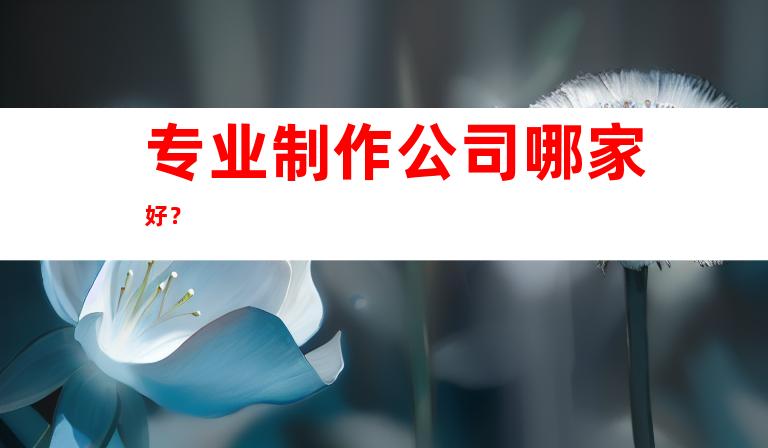 专业制作公司哪家好？