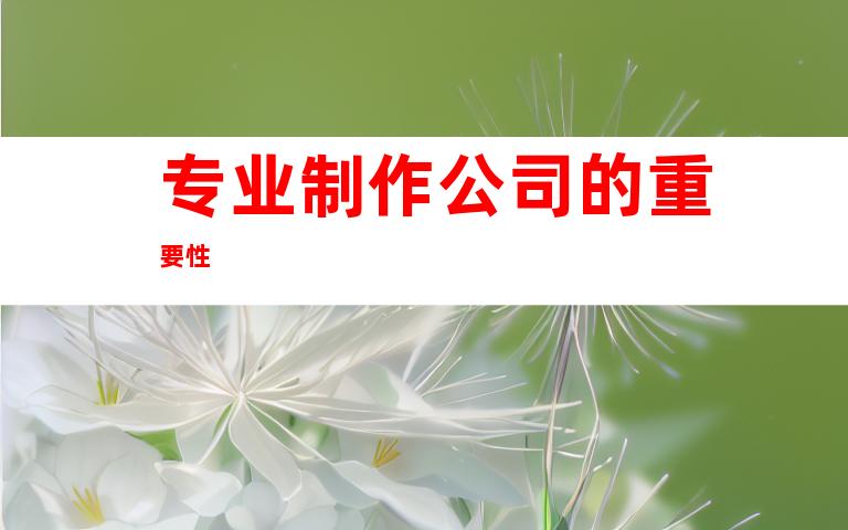 专业制作公司的重要性