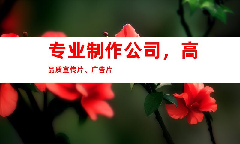 专业制作公司，高品质宣传片、广告片