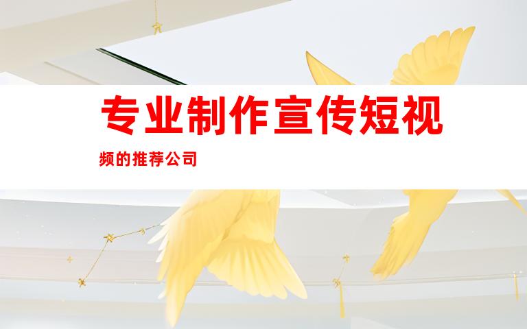 专业制作宣传短视频的推荐公司