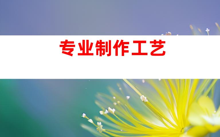 专业制作工艺