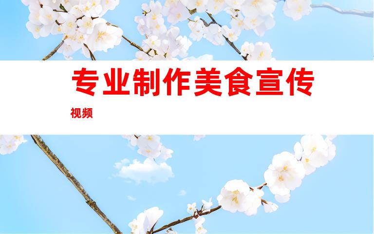 专业制作美食宣传视频