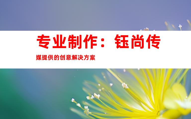 专业制作：钰尚传媒提供的创意解决方案