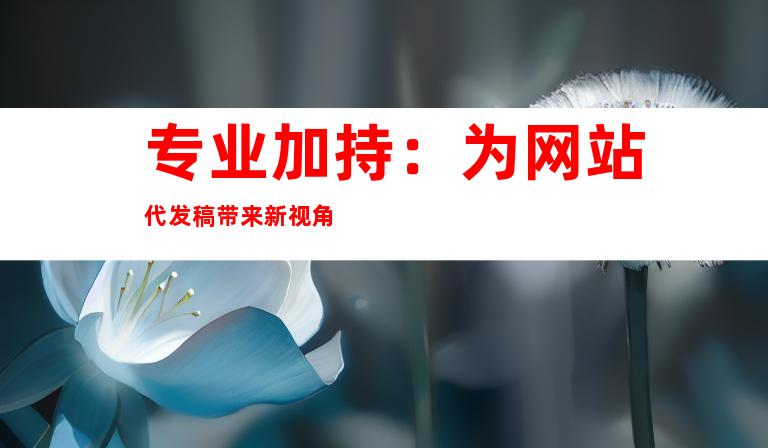 专业加持：为网站代发稿带来新视角