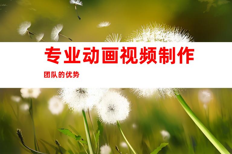 专业动画视频制作团队的优势