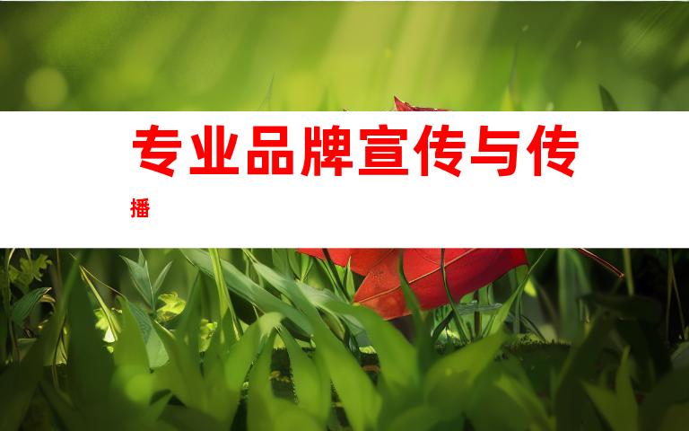 专业品牌宣传与传播
