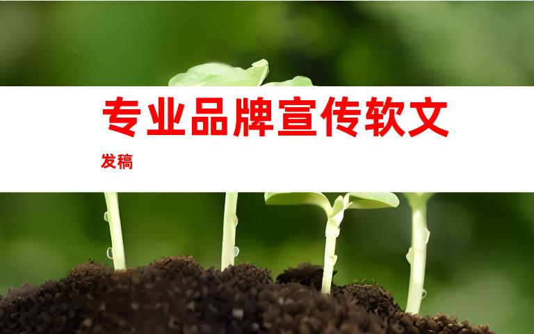 专业品牌宣传软文发稿