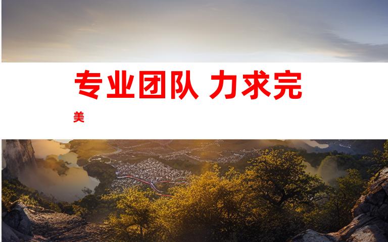 专业团队 力求完美