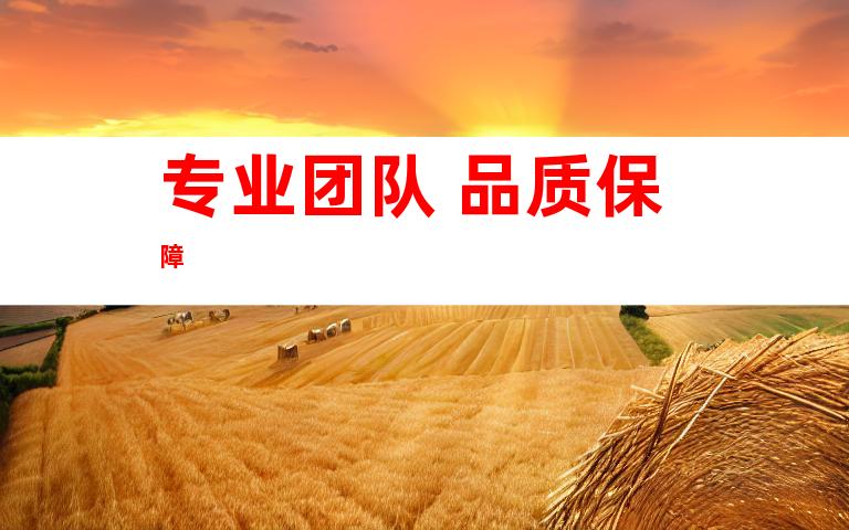 专业团队 品质保障